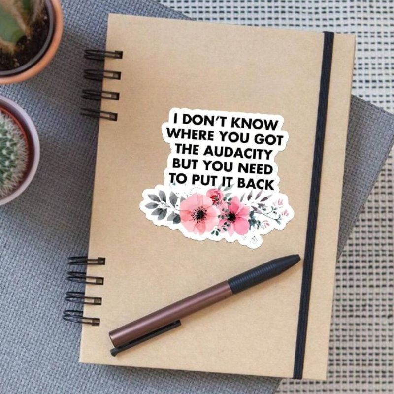 1PC Don't Know Where You Got The Audacity But You Need To Put It Back Sticker Vinyl Sticker Waterproof