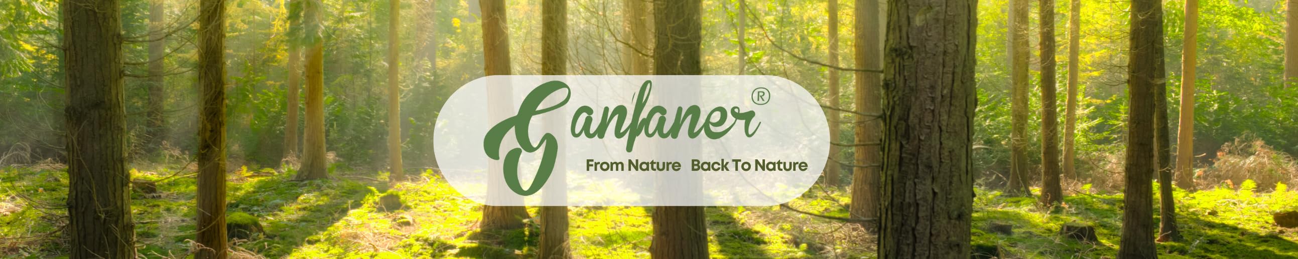 Ganfaner eco-friendly disposable packaging for sustainable dining and modern home kitchen gatherings